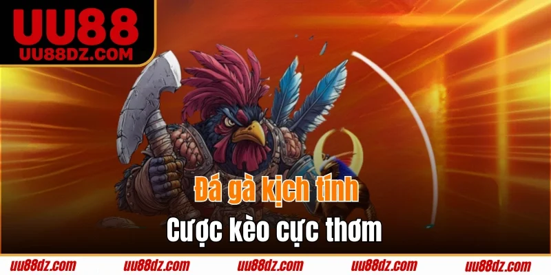 Đá gà kịch tính cược kèo cực thơm